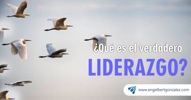 qué es el verdadero liderazgo visión en buenos aires engelbert gonzalez