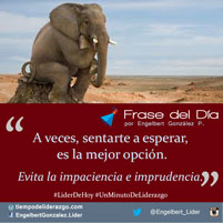 frase del dia 30-09-2015-id